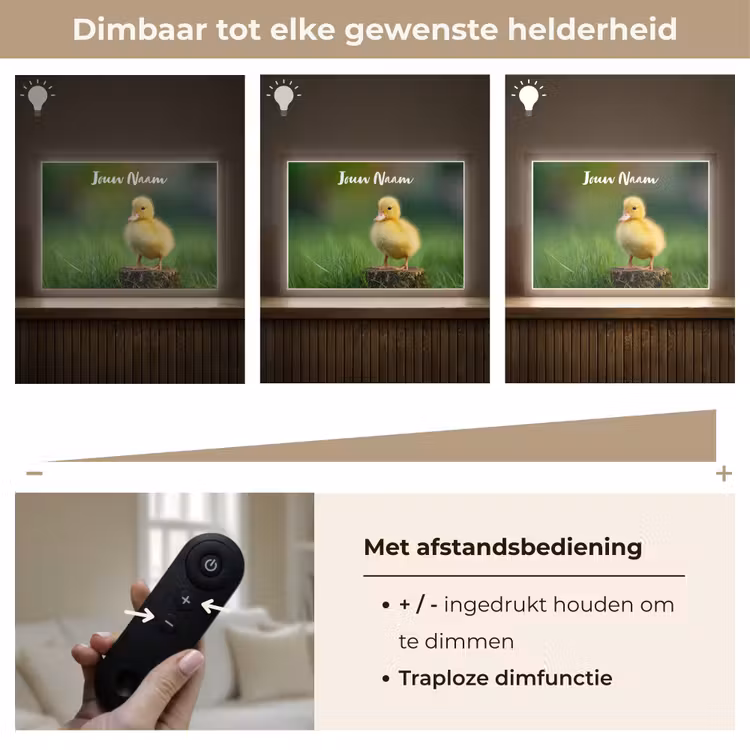 Kuiken - Eend - Geel - Gras Light Box met batterij (Wandlamp kind) middel -USP_dimbaarNL