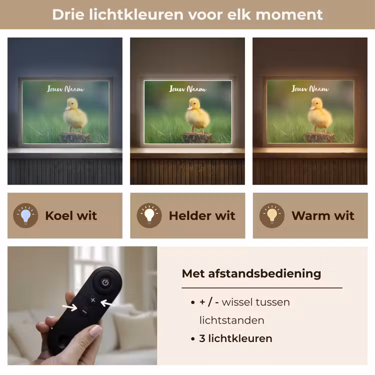 Kuiken - Eend - Geel - Gras Light Box met batterij (Wandlamp kind) middel -USP_lichtkleurNL