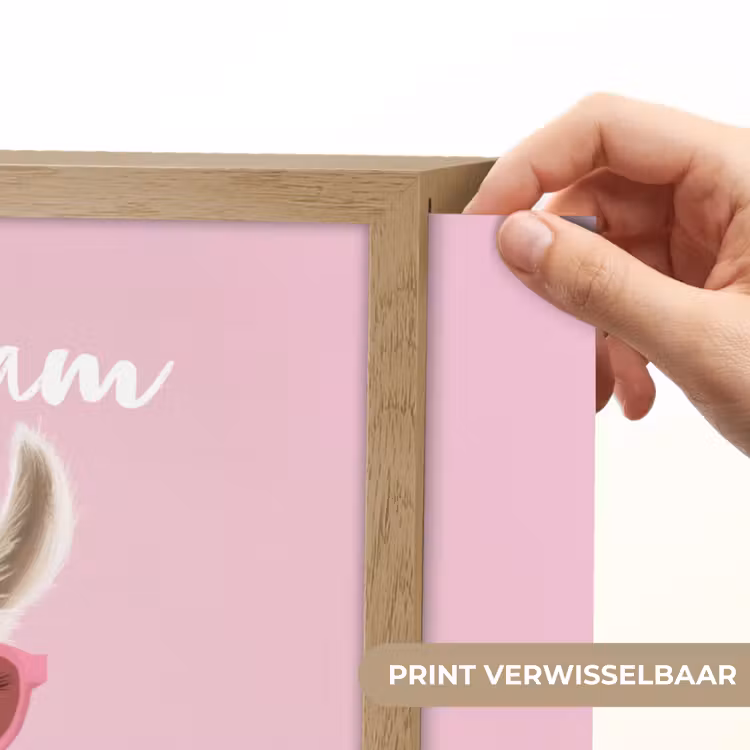 Lama - Zonnebril - Roze Light Box met batterij (Wandlamp kind) middel -USP_websiteprintNL