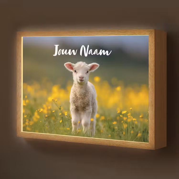 Lammetje - Gras - Bloemen - Geel Light Box met batterij (Wandlamp kind) middel -z3d_website