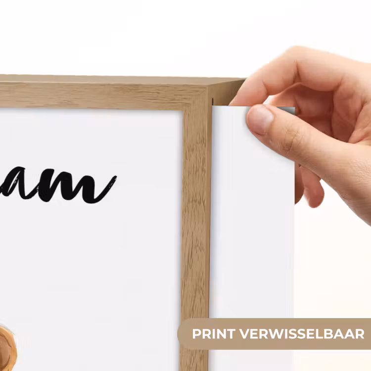 Leeuw - Baby dier - Dieren - Roze ballon Light Box met batterij (Wandlamp kind) middel -USP_websiteprintNL