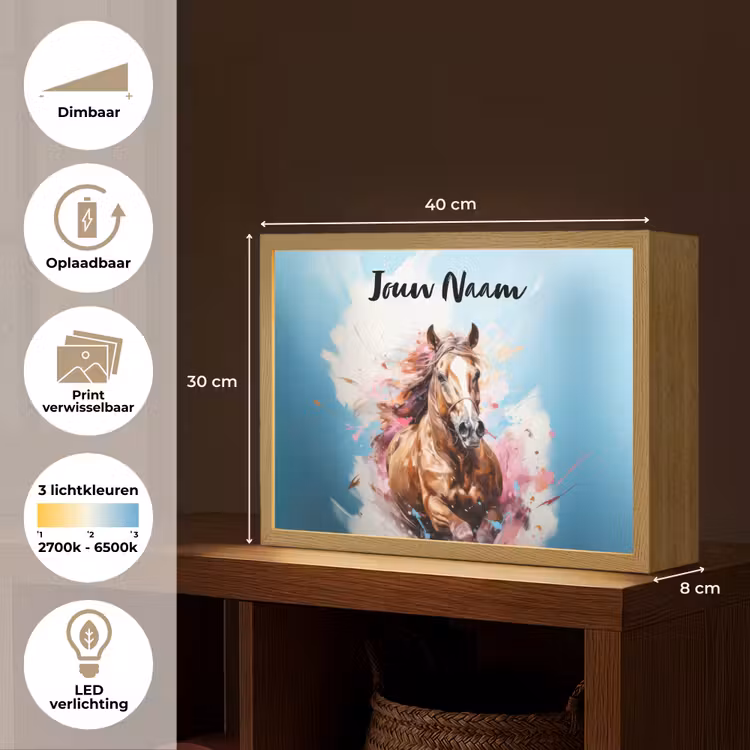 Paard - Meisjes - Blauw - Roze Light Box met batterij (Wandlamp kind) middel -USP_websiteoverzichtNL
