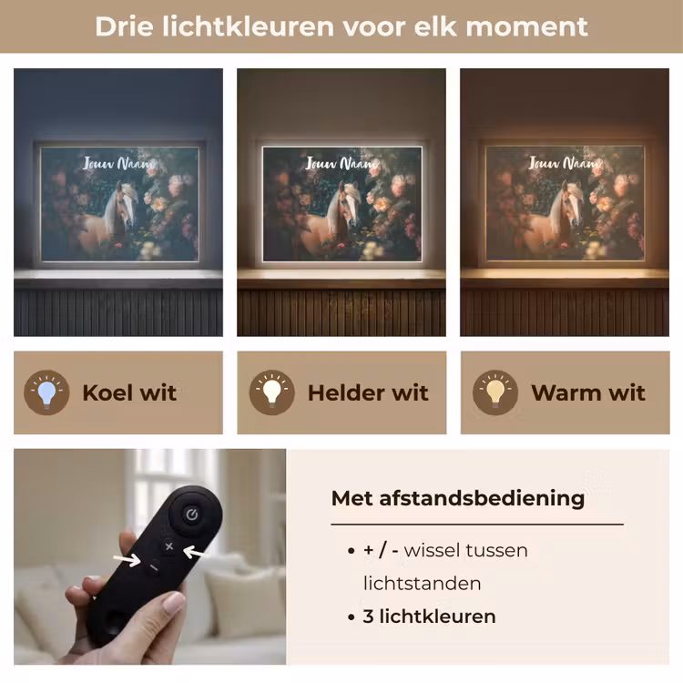 Paard - Natuur - Bloemen - Bos - Dieren Light Box met batterij (Wandlamp kind) middel -USP_lichtkleurNL