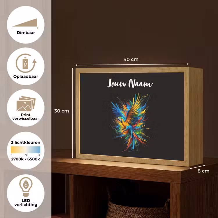 Papegaai - Vogel - Dier - Kleurrijk - Verf Light Box met batterij (Wandlamp kind) middel -USP_websiteoverzichtNL