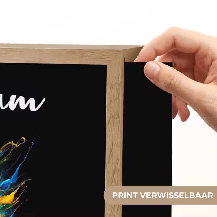 Papegaai - Vogel - Dier - Kleurrijk - Verf Light Box met batterij (Wandlamp kind) middel -USP_websiteprintNL