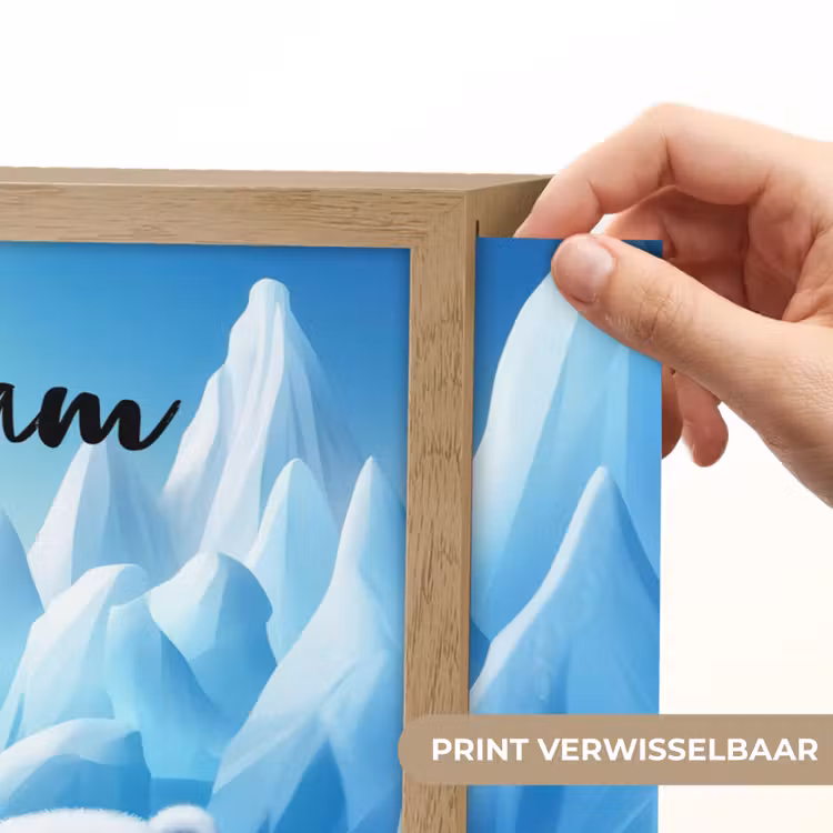 Pinguïn - IJsbeer - IJs - Sneeuw Light Box met batterij (Wandlamp kind) middel -USP_websiteprintNL