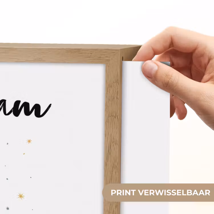 Planten - Sterren - Dinosaurussen - Oranje Light Box met batterij (Wandlamp kind) middel -USP_websiteprintNL