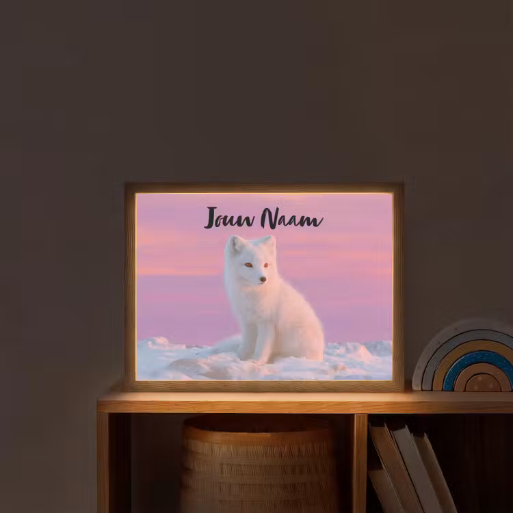 Poolvos - Sneeuw - Roze Light Box met batterij (Wandlamp kind) middel -sfeer1_kind