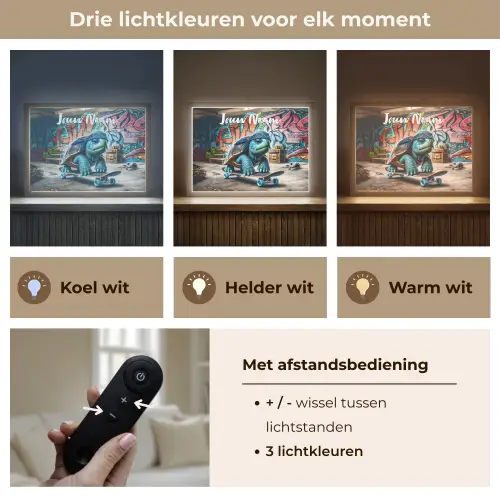 Schildpad - Graffiti - Skateboard - Jongens Light Box met batterij (Wandlamp kind) middel -USP_lichtkleurNL