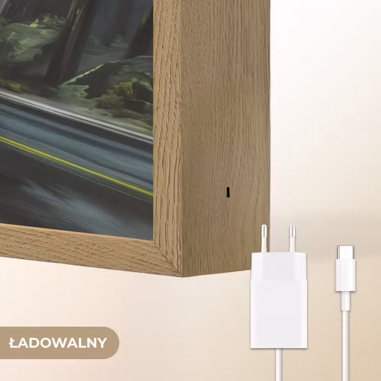 T-Rex - Auto - Regenwoud Light Box met batterij (Wandlamp kind) middel -USP_websiteoplaadbaarNL