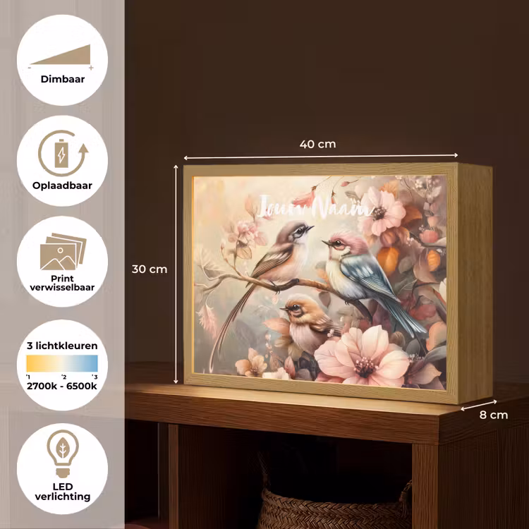Vogels - Bloemen - Roze - Pastel Light Box met batterij (Wandlamp kind) middel -USP_websiteoverzichtNL
