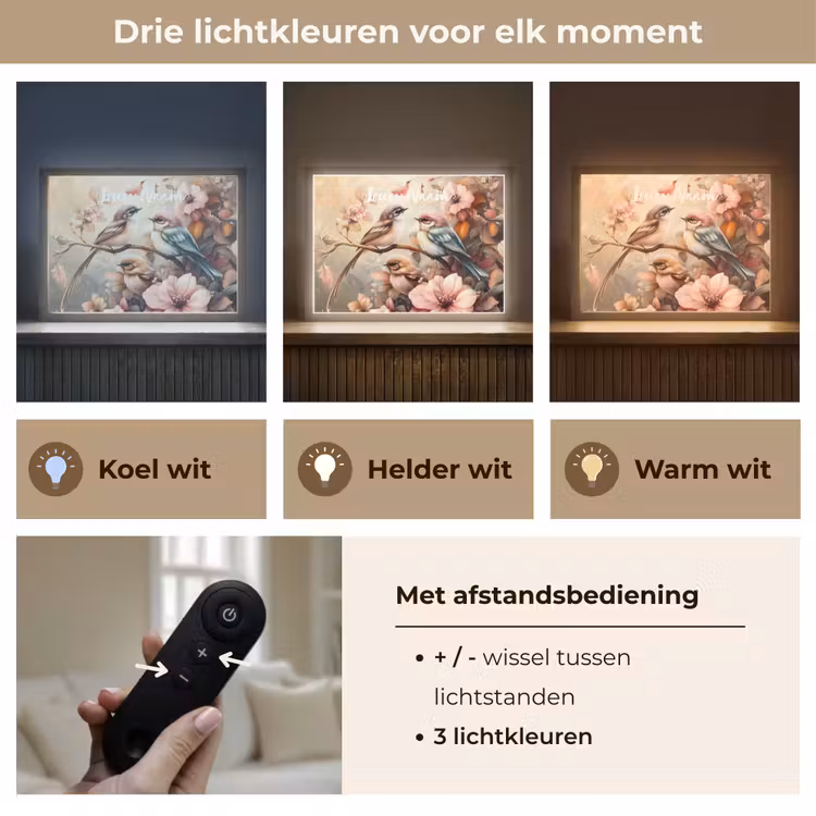 Vogels - Bloemen - Roze - Pastel Light Box met batterij (Wandlamp kind) middel -USP_lichtkleurNL