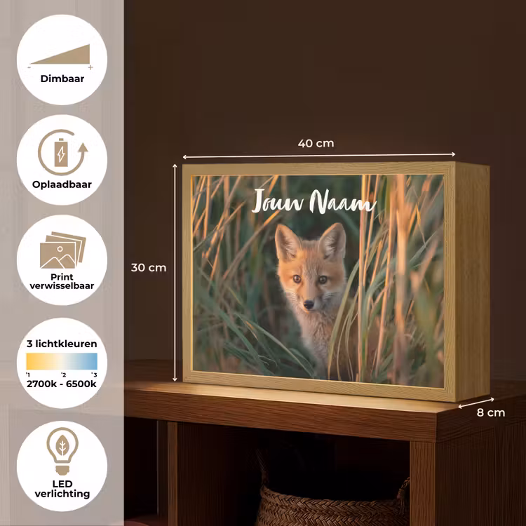 Vos - Oranje - Gras Light Box met batterij (Wandlamp kind) middel -USP_websiteoverzichtNL
