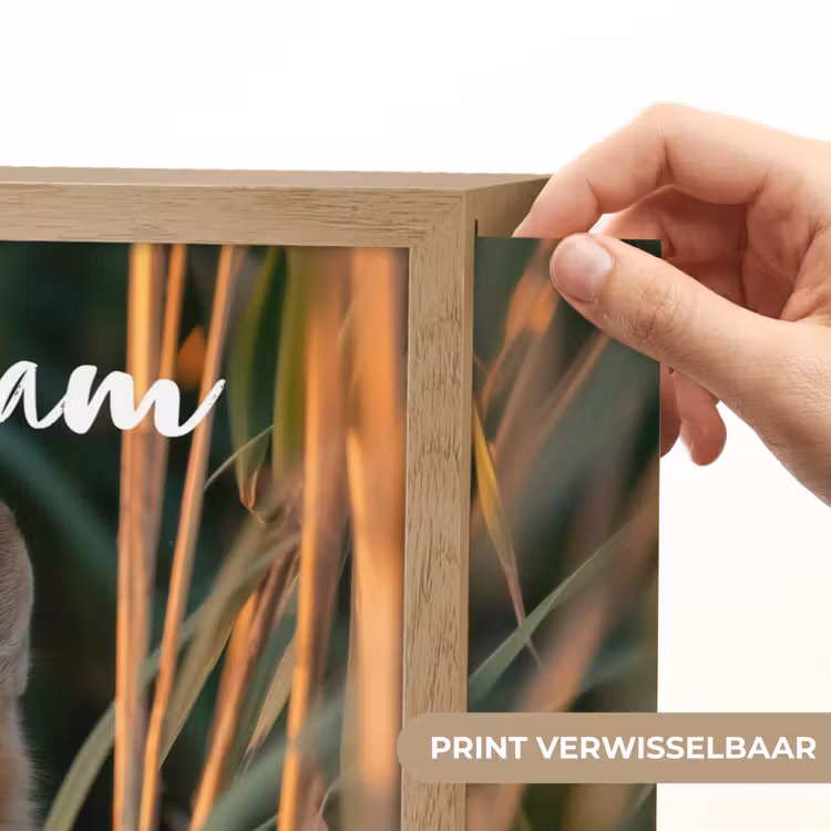 Vos - Oranje - Gras Light Box met batterij (Wandlamp kind) middel -USP_websiteprintNL