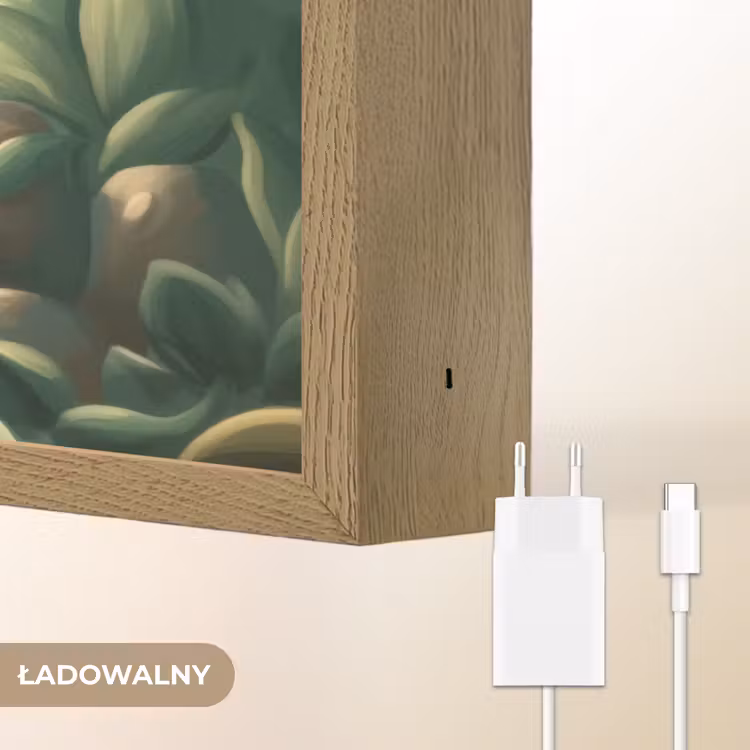 Zebra - Aapje - Waterval - Rotsen Light Box met batterij (Wandlamp kind) middel -USP_websiteoplaadbaarNL