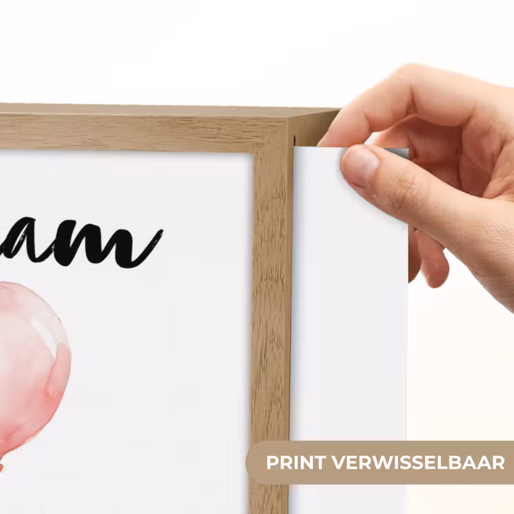 Zebra - Baby - Dieren - Roze ballon Light Box met batterij (Wandlamp kind) middel -USP_websiteprintNL