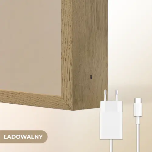 Zebra - Zonnebloemen - Warm Light Box met batterij (Wandlamp kind) middel -USP_websiteoplaadbaarNL