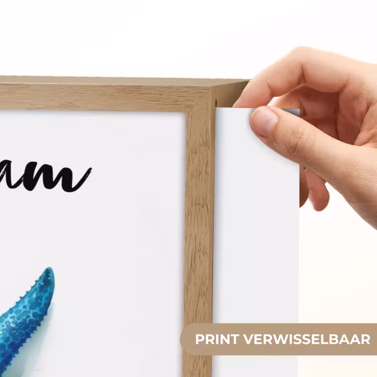 Zeester - Blauw - Spetters Light Box met batterij (Wandlamp kind) middel -USP_websiteprintNL