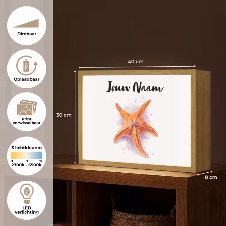 Zeester - Oranje - Paars Light Box met batterij (Wandlamp kind) middel -USP_websiteoverzichtNL