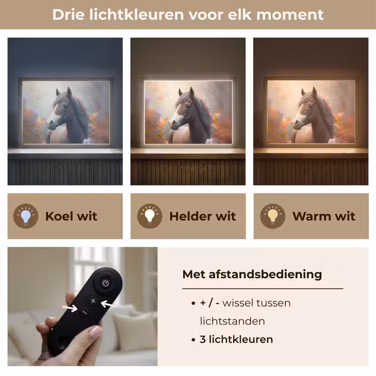 Paard - Bloemen - Natuur - Paars - Dieren Light Box met batterij (Wandlamp kind) middel -USP_lichtkleurNL