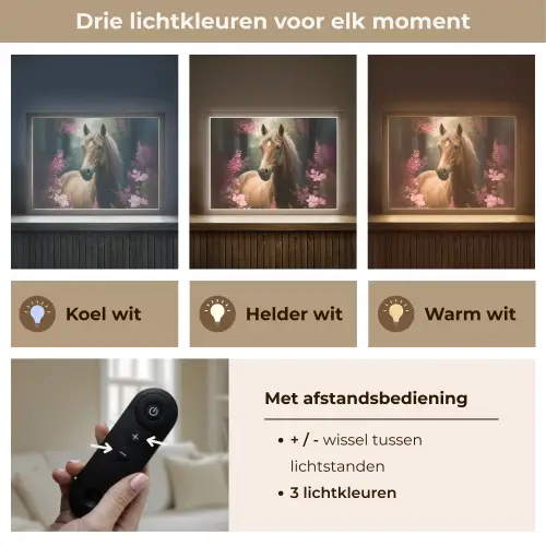 Paard - Bloemen - Roze - Natuur - Bos Light Box met batterij (Wandlamp kind) middel -USP_lichtkleurNL