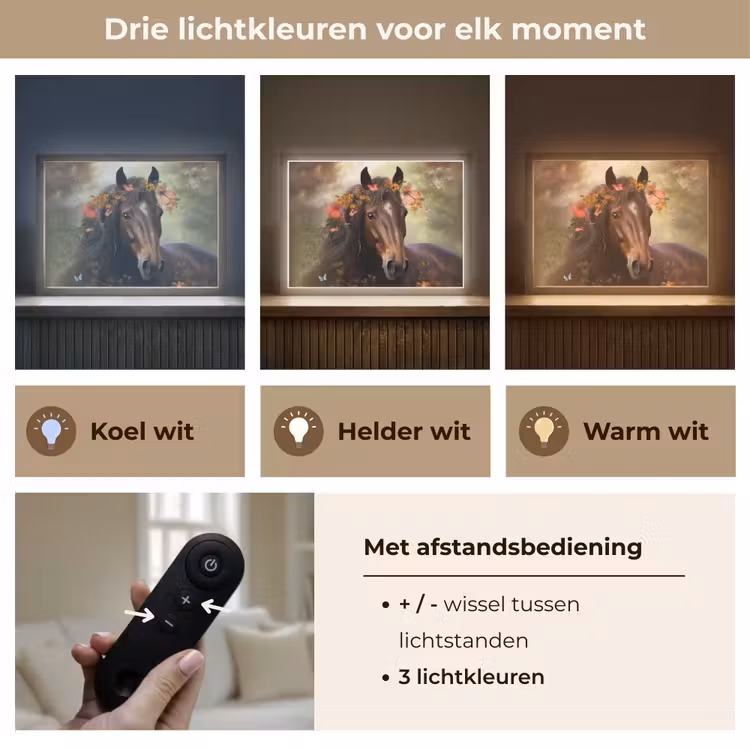Paard - Dieren - Bloemen - Bos - Vlinder Light Box met batterij (Wandlamp kind) middel -USP_lichtkleurNL