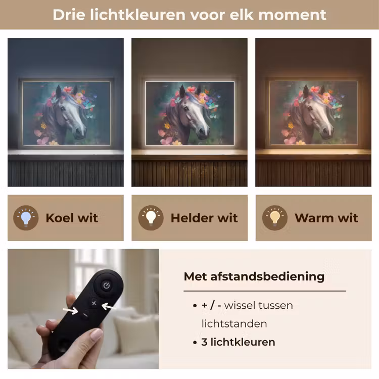 Paard - Natuur - Bloemen - Bos - Dieren Light Box met batterij (Wandlamp kind) middel -USP_lichtkleurNL