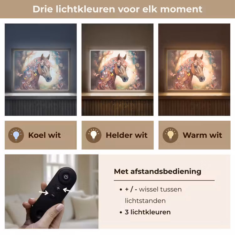 Paard - Natuur - Bloemen - Vlinders - Bos Light Box met batterij (Wandlamp kind) middel -USP_lichtkleurNL
