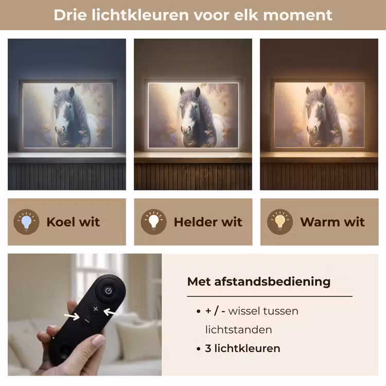 Paard - Natuur - Dieren - Bloemen - Paars Light Box met batterij (Wandlamp kind) middel -USP_lichtkleurNL