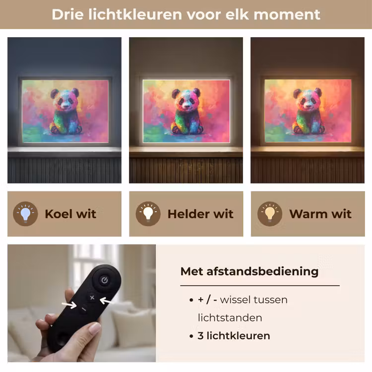 Panda - Dieren - Kleurrijk - Neon Light Box met batterij (Wandlamp kind) middel -USP_lichtkleurNL