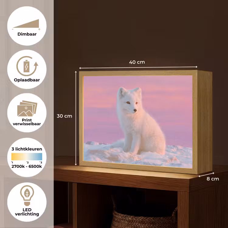 Poolvos - Sneeuw - Roze Light Box met batterij (Wandlamp kind) middel -USP_websiteoverzichtNL