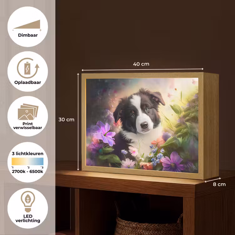 Puppy - Zon - Bloemen - Natuur - Bordercollie - Hond Light Box met batterij (Wandlamp kind) middel -USP_websiteoverzichtNL