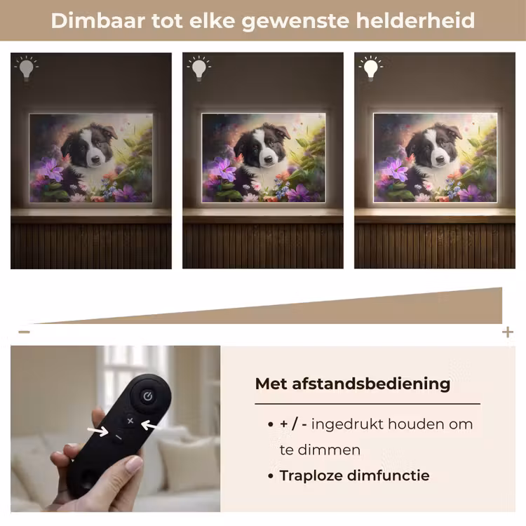 Puppy - Zon - Bloemen - Natuur - Bordercollie - Hond Light Box met batterij (Wandlamp kind) middel -USP_dimbaarNL