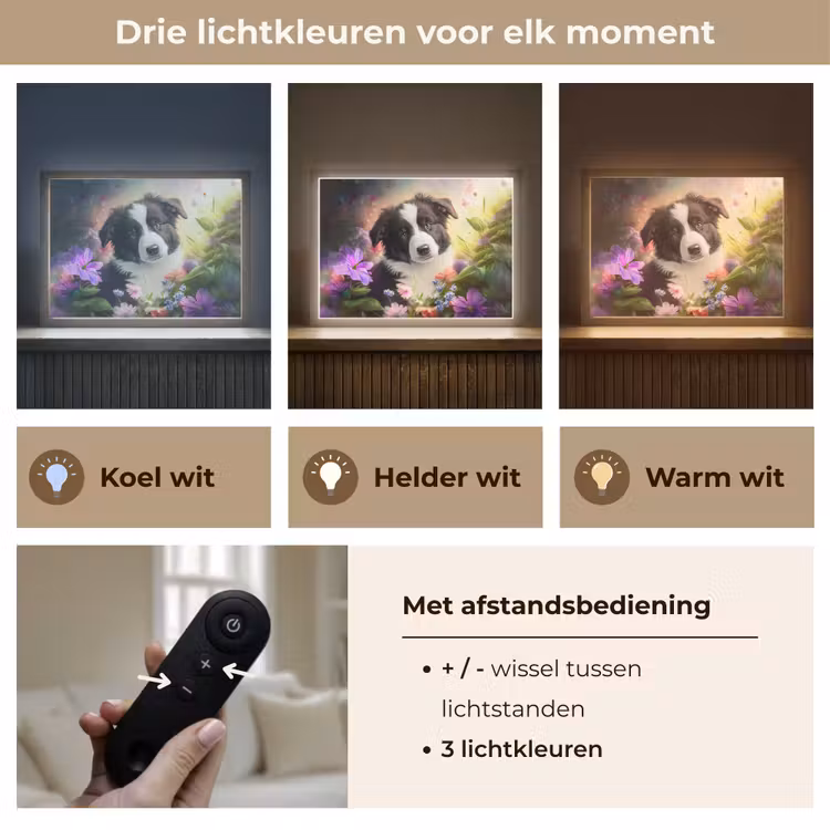 Puppy - Zon - Bloemen - Natuur - Bordercollie - Hond Light Box met batterij (Wandlamp kind) middel -USP_lichtkleurNL