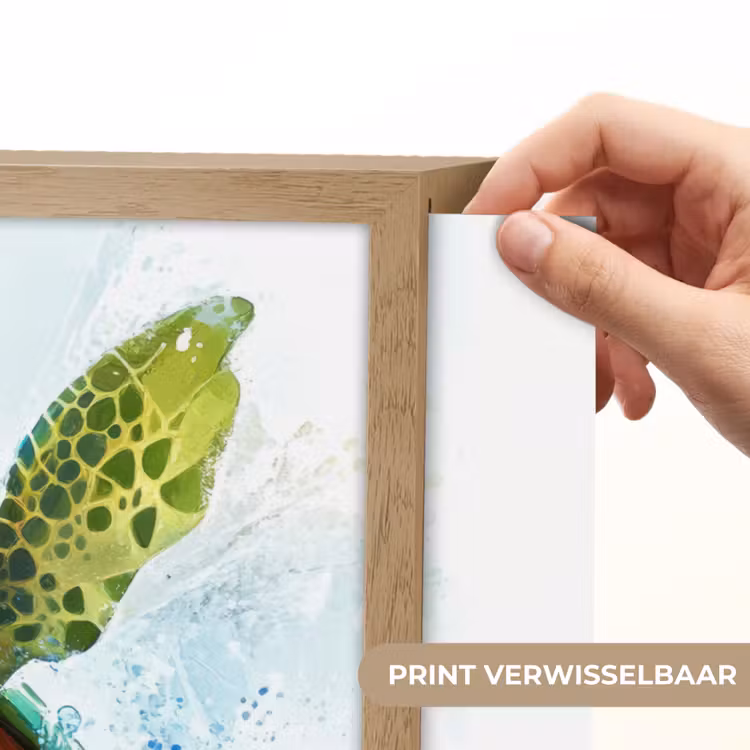 Schildpad - Cartoon - Water - Groen Light Box met batterij (Wandlamp kind) middel -USP_websiteprintNL