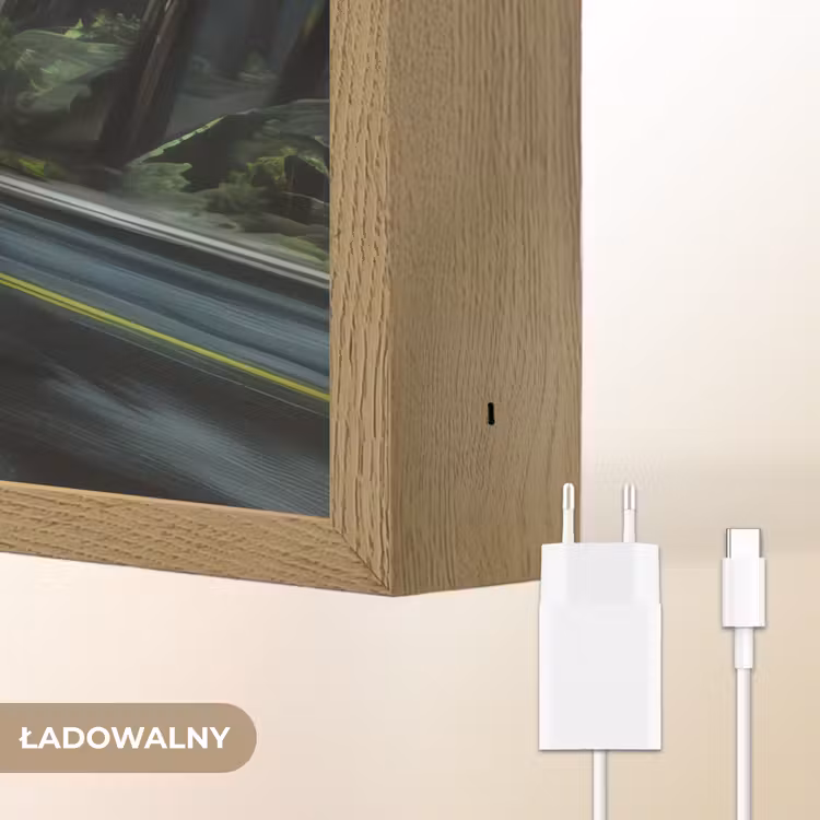 T-Rex - Auto - Regenwoud Light Box met batterij (Wandlamp kind) middel -USP_websiteoplaadbaarNL
