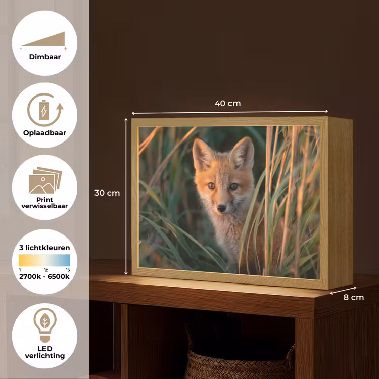 Vos - Oranje - Gras Light Box met batterij (Wandlamp kind) middel -USP_websiteoverzichtNL