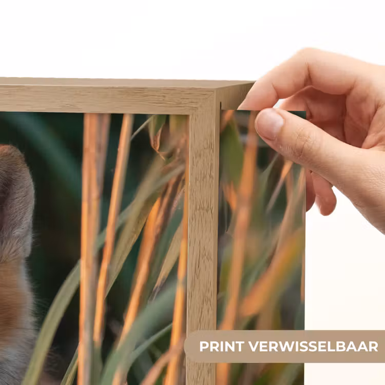 Vos - Oranje - Gras Light Box met batterij (Wandlamp kind) middel -USP_websiteprintNL