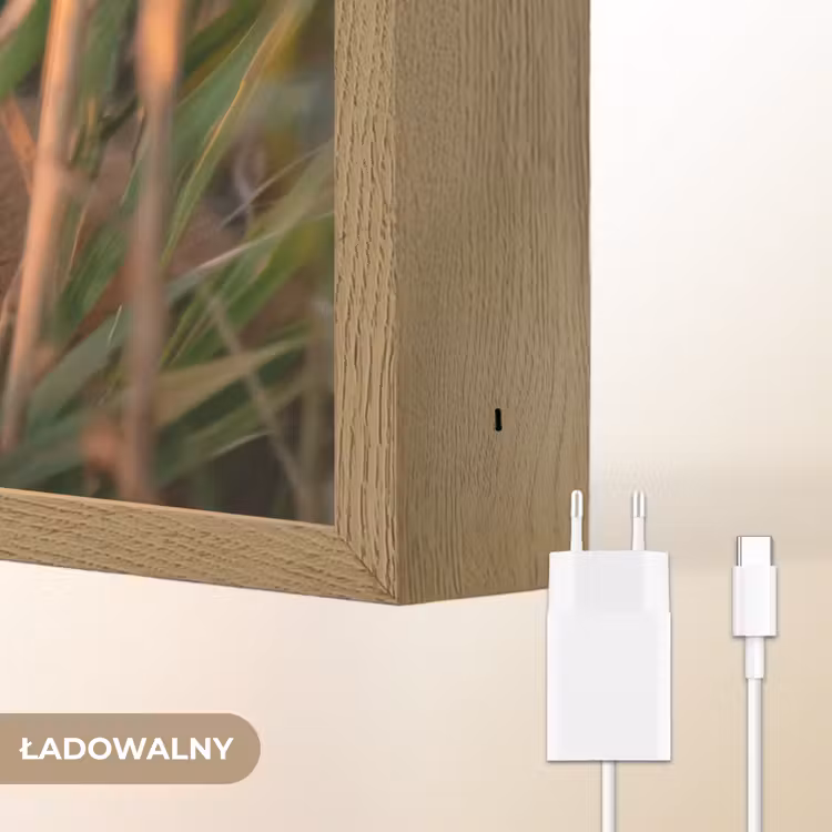 Vos - Oranje - Gras Light Box met batterij (Wandlamp kind) middel -USP_websiteoplaadbaarNL