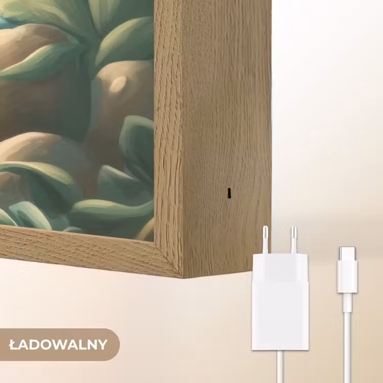 Zebra - Aap - Cartoon - Waterval Light Box met batterij (Wandlamp kind) middel -USP_websiteoplaadbaarNL