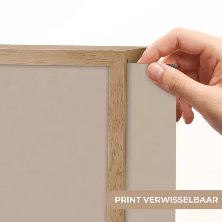 Zebra - Zonnebloemen - Warm Light Box met batterij (Wandlamp kind) middel -USP_websiteprintNL