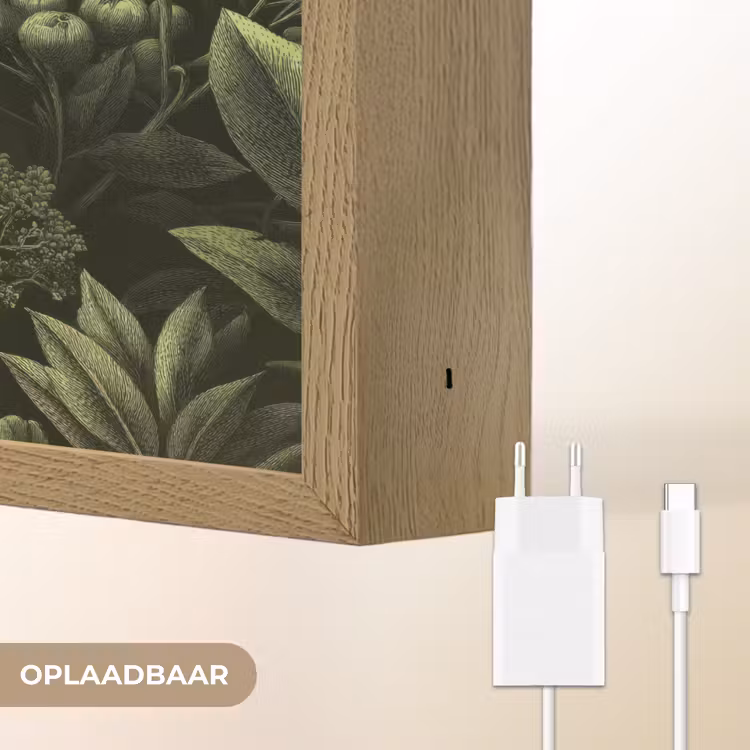 Klassiek - Donker - Botanisch - Planten Light Box met batterij (Wandlamp) middel 907 -USP_websiteoplaadbaarNL