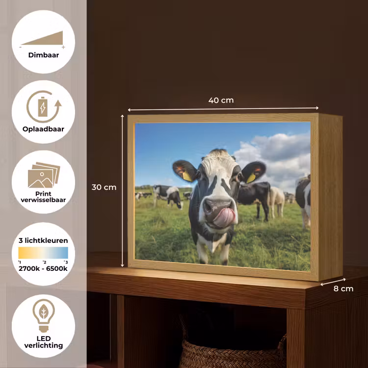 Koe - Tong - Weide Light Box met batterij (Wandlamp) middel -USP_websiteoverzichtNL