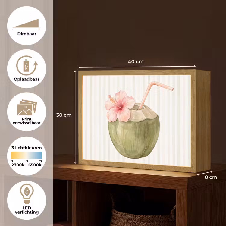 Kokosnoot - Drank - Tropisch - Illustratie - Zomer Light Box met batterij (Wandlamp) middel -USP_websiteoverzichtNL