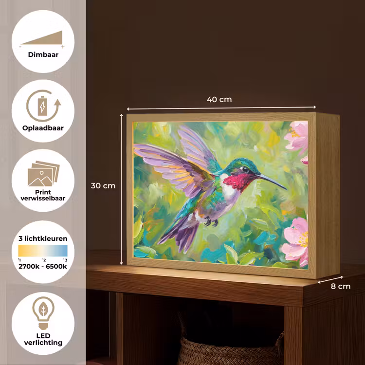 Kolibrie - Bloemen - Natuur - Kleurrijk Light Box met batterij (Wandlamp) middel -USP_websiteoverzichtNL