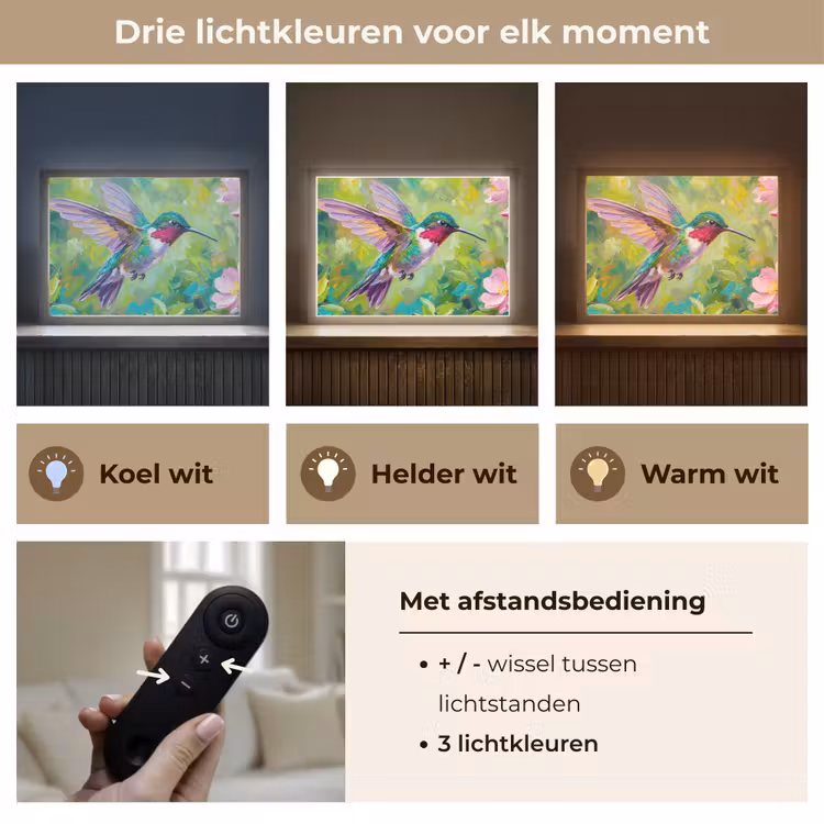 Kolibrie - Bloemen - Natuur - Kleurrijk Light Box met batterij (Wandlamp) middel -USP_lichtkleurNL