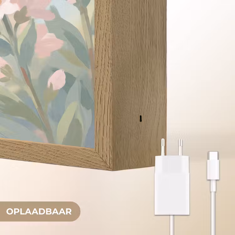 Kolibrie - Illustratie - Kleurrijk Light Box met batterij (Wandlamp) middel -USP_websiteoplaadbaarNL