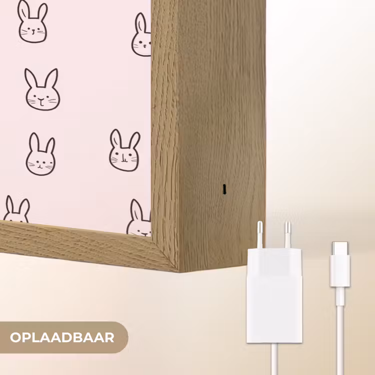 Konijnen - Minimalistisch - Roze Light Box met batterij (Wandlamp) middel 907 -USP_websiteoplaadbaarNL