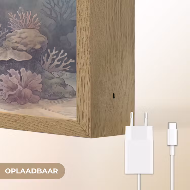 Koraal - Onderwater - Natuur - Roze Light Box met batterij (Wandlamp) middel -USP_websiteoplaadbaarNL