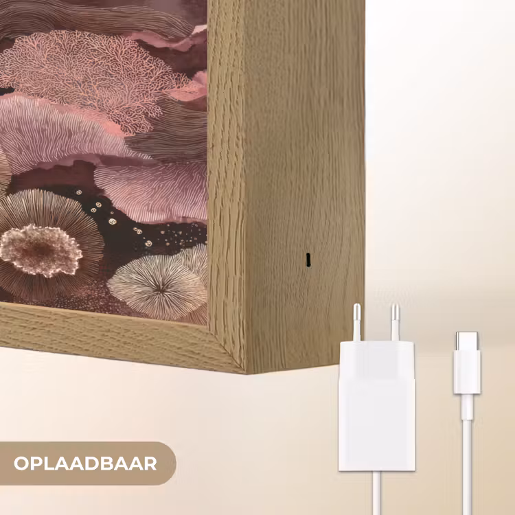 Koraal - Organisch - Roze Light Box met batterij (Wandlamp) middel 907 -USP_websiteoplaadbaarNL